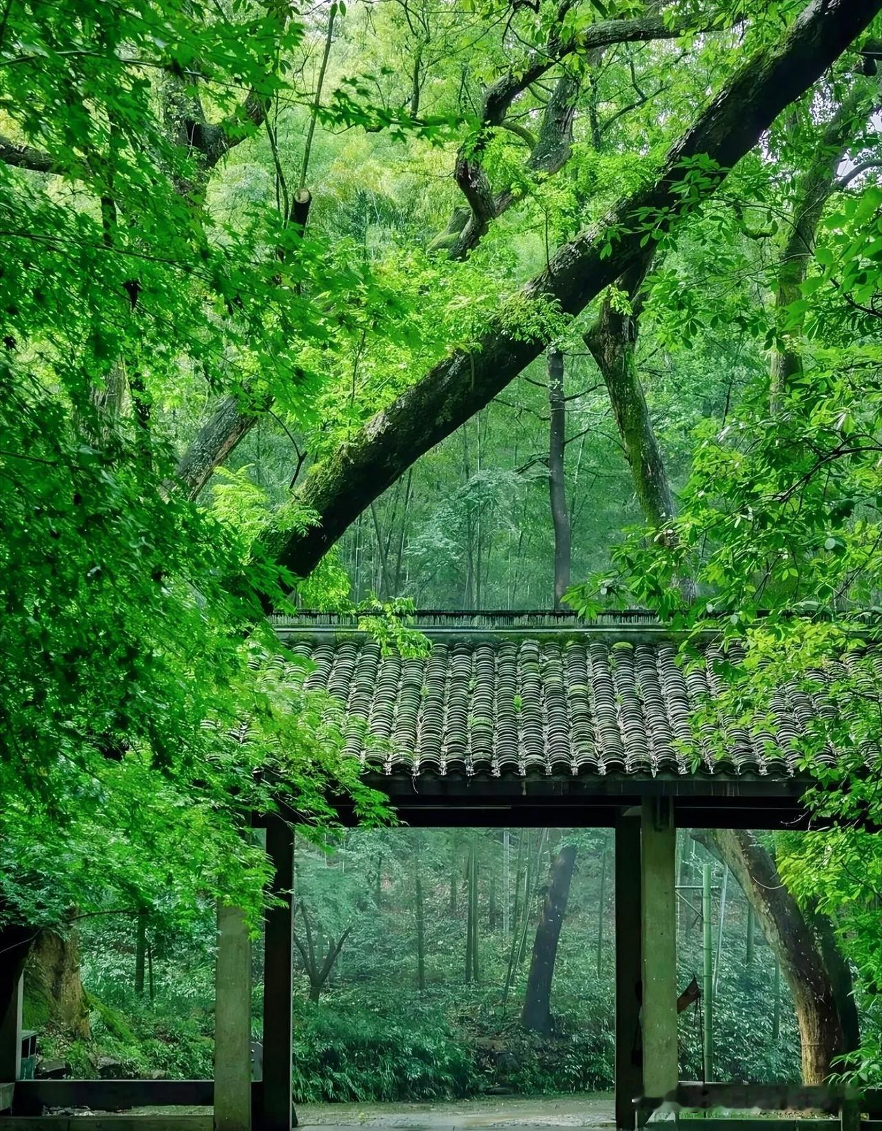 下联：叶落梧桐金井寒
上联：有请雅士[玫瑰][玫瑰][玫瑰]