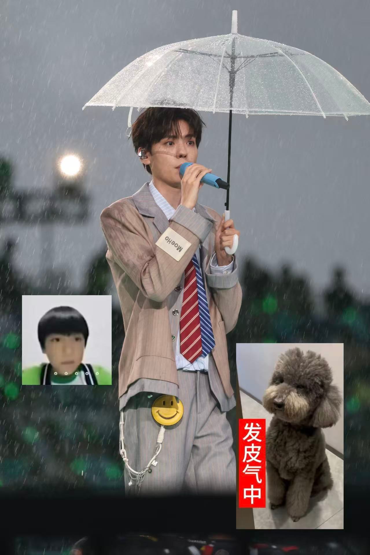 谁懂淋着雨在台下拍。看到老毕在台上打着伞唱真的一股子火