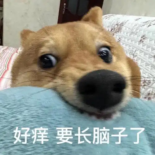 恋与深空强制下线  我甚至还以为别人顶我号了[汗] 