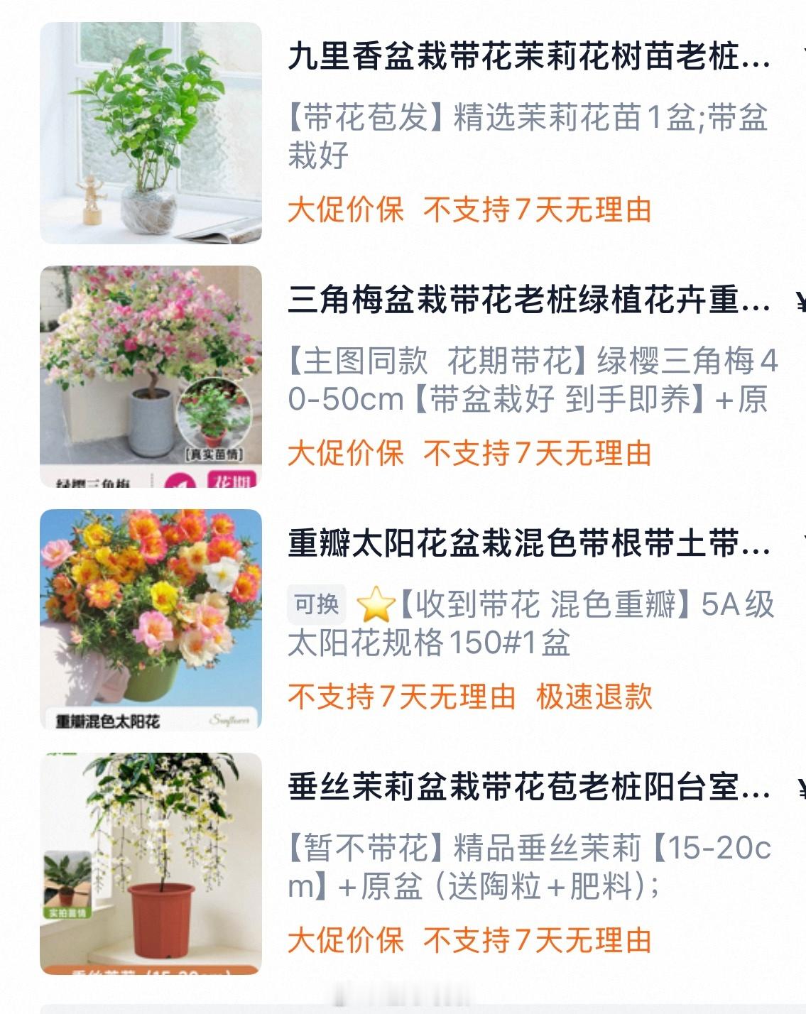 又给我妈买了四盆花