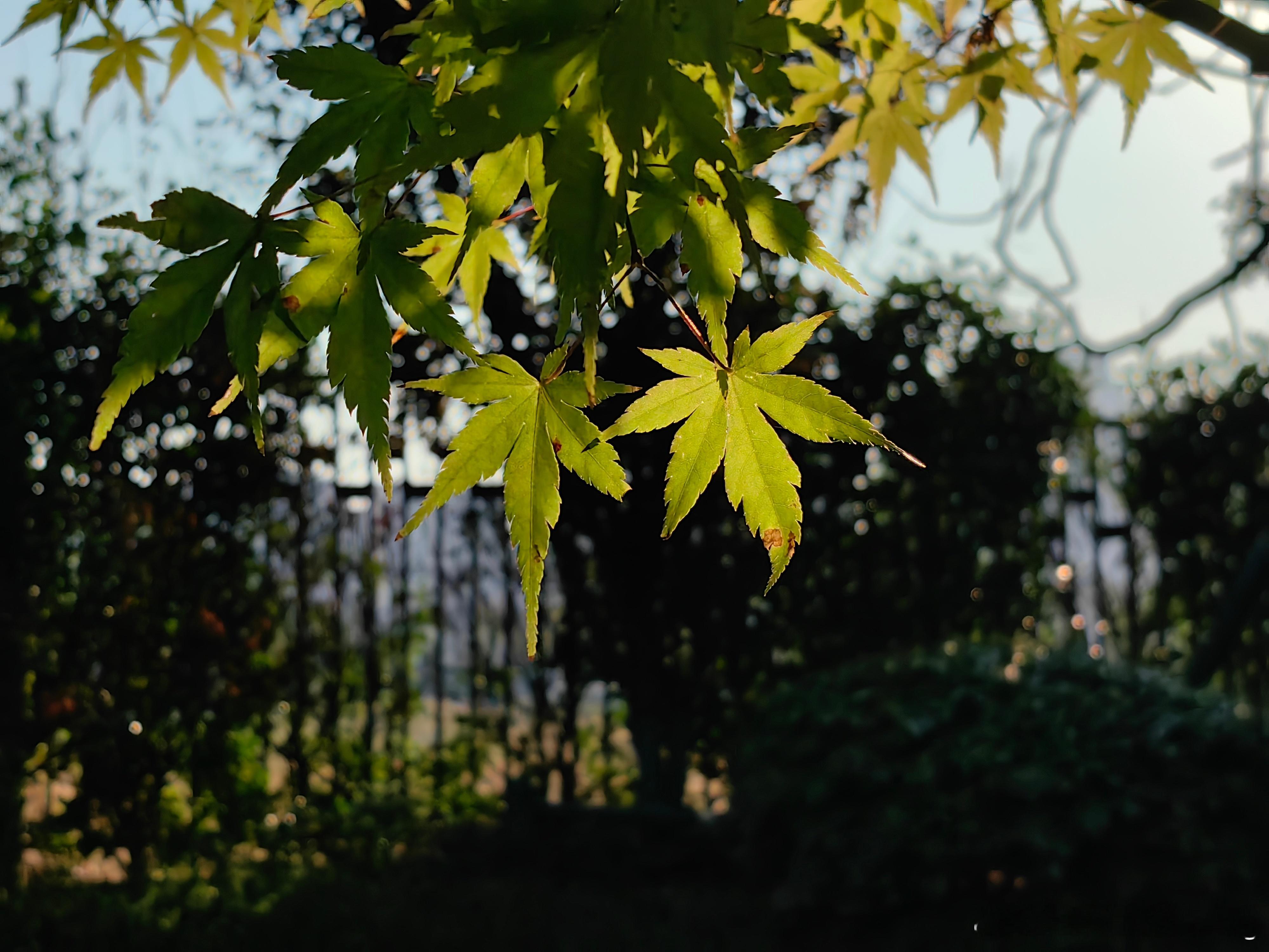 国际创新药闻肾病相关性瘙痒新药国内获批 2025年9月15日，海思科1类新药安瑞