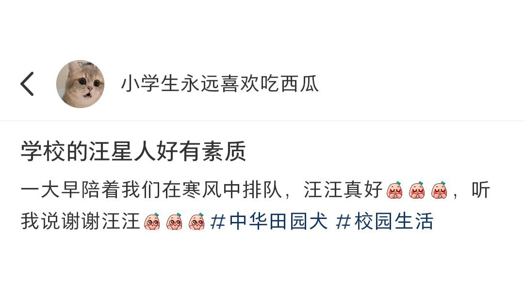 学校的小狗进图书馆都要排队[收到] ​​​