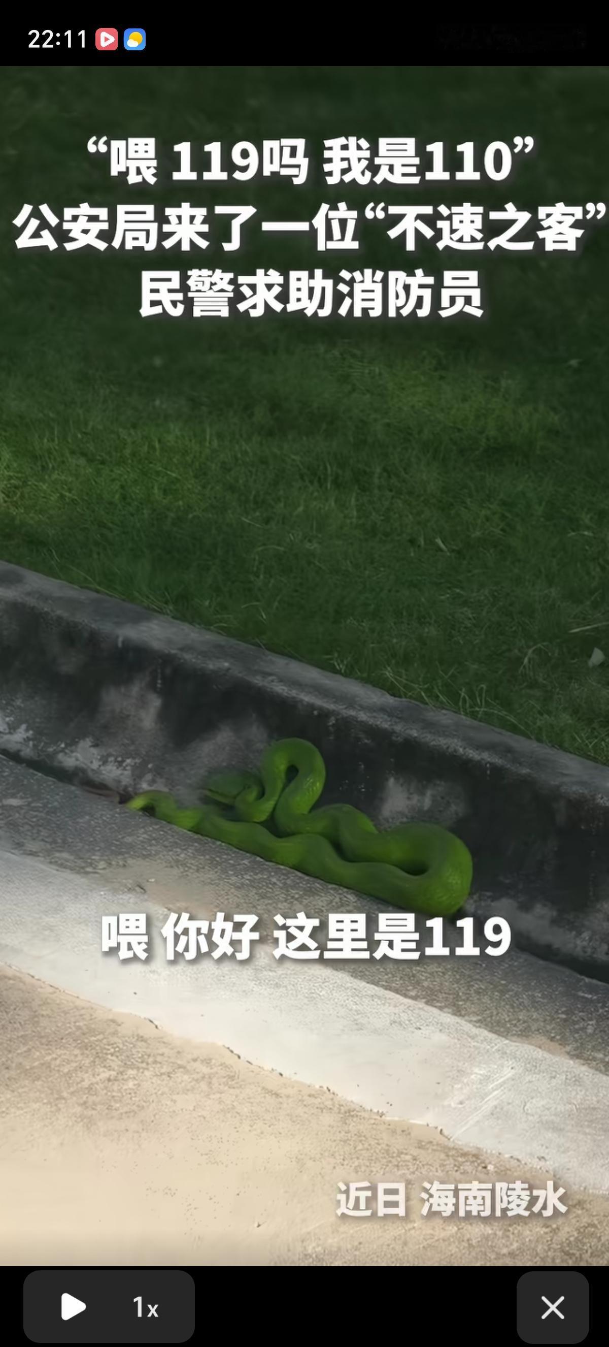 “喂，你好，这里是119”，
“喂，你好，这里是公安局的，我们局里现在有一条大蛇