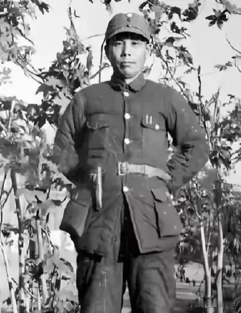 1955年8月27号晚上，香港新界屏山乡间一栋叫“华苑”的寓所里头，三个蒙面人翻