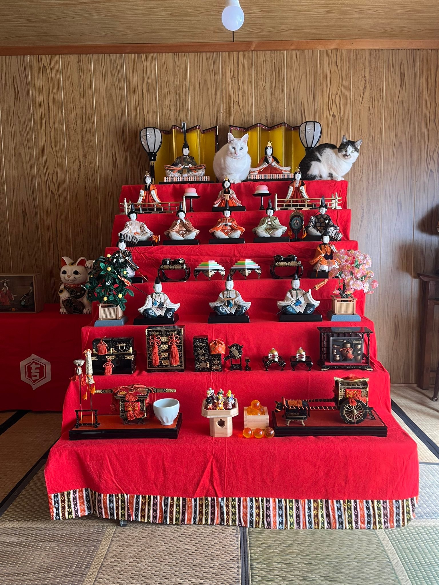 三月三日上巳弥生节句是日本传统五大节句之一（一月七日人日，三月三日上巳，五月五日