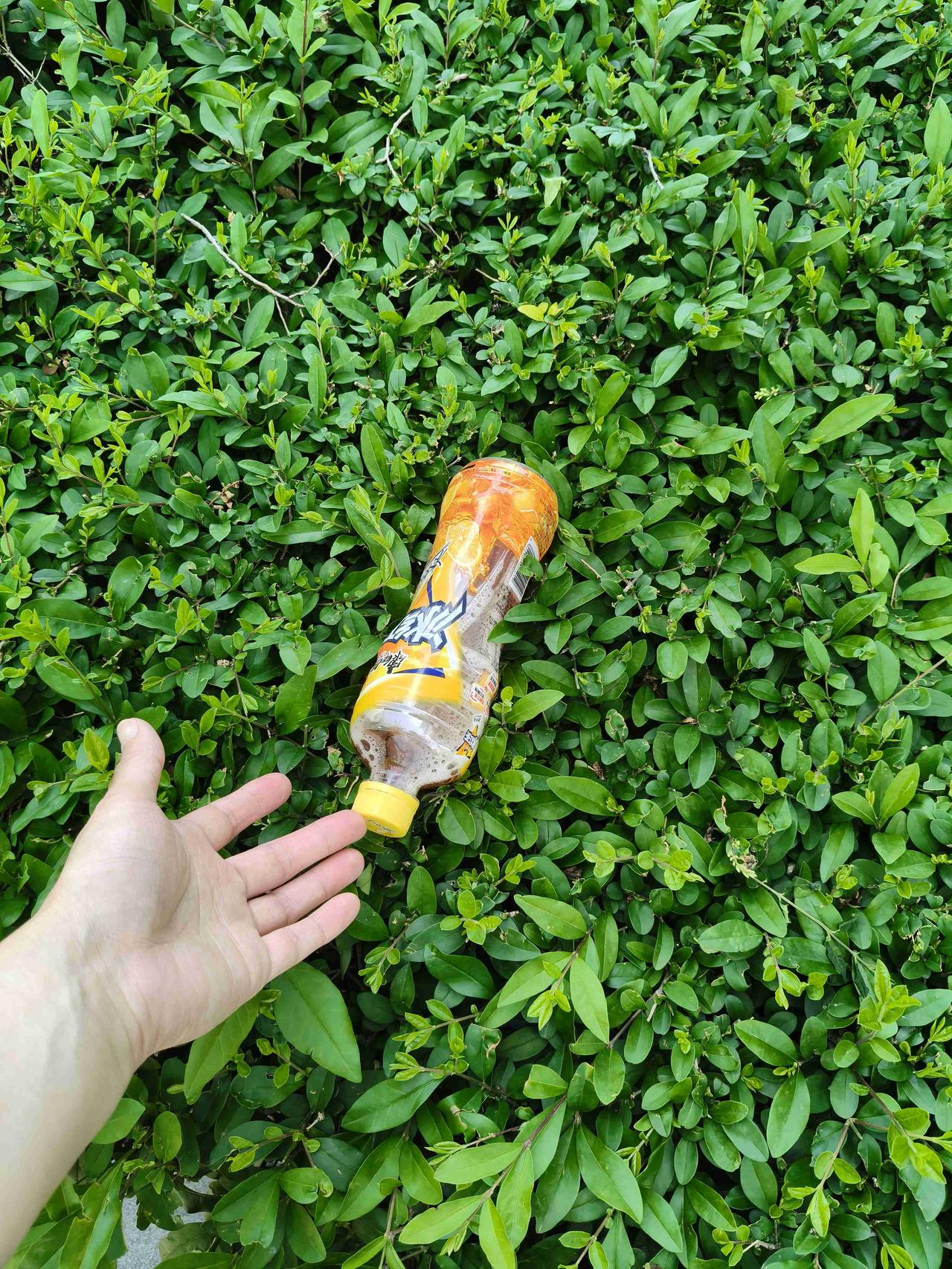 我的今日状态：😁轻松愉快
我这里的天气：☀️晴天