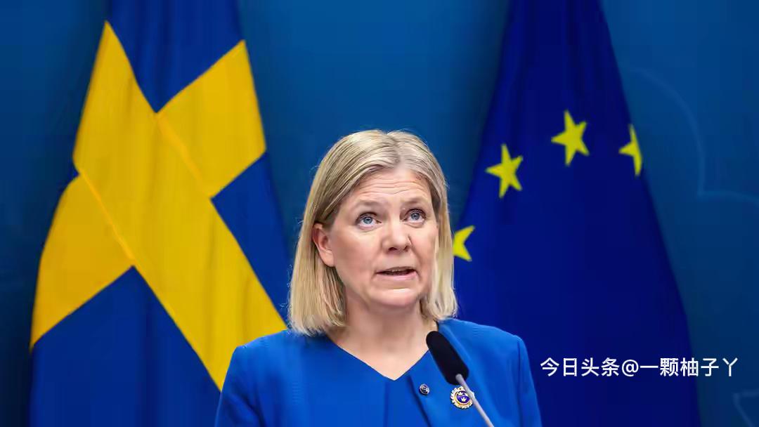 瑞典前首相安德松近期在采访中放出狠话，称欧洲现有核武器足以把俄罗斯炸成碎片，试图