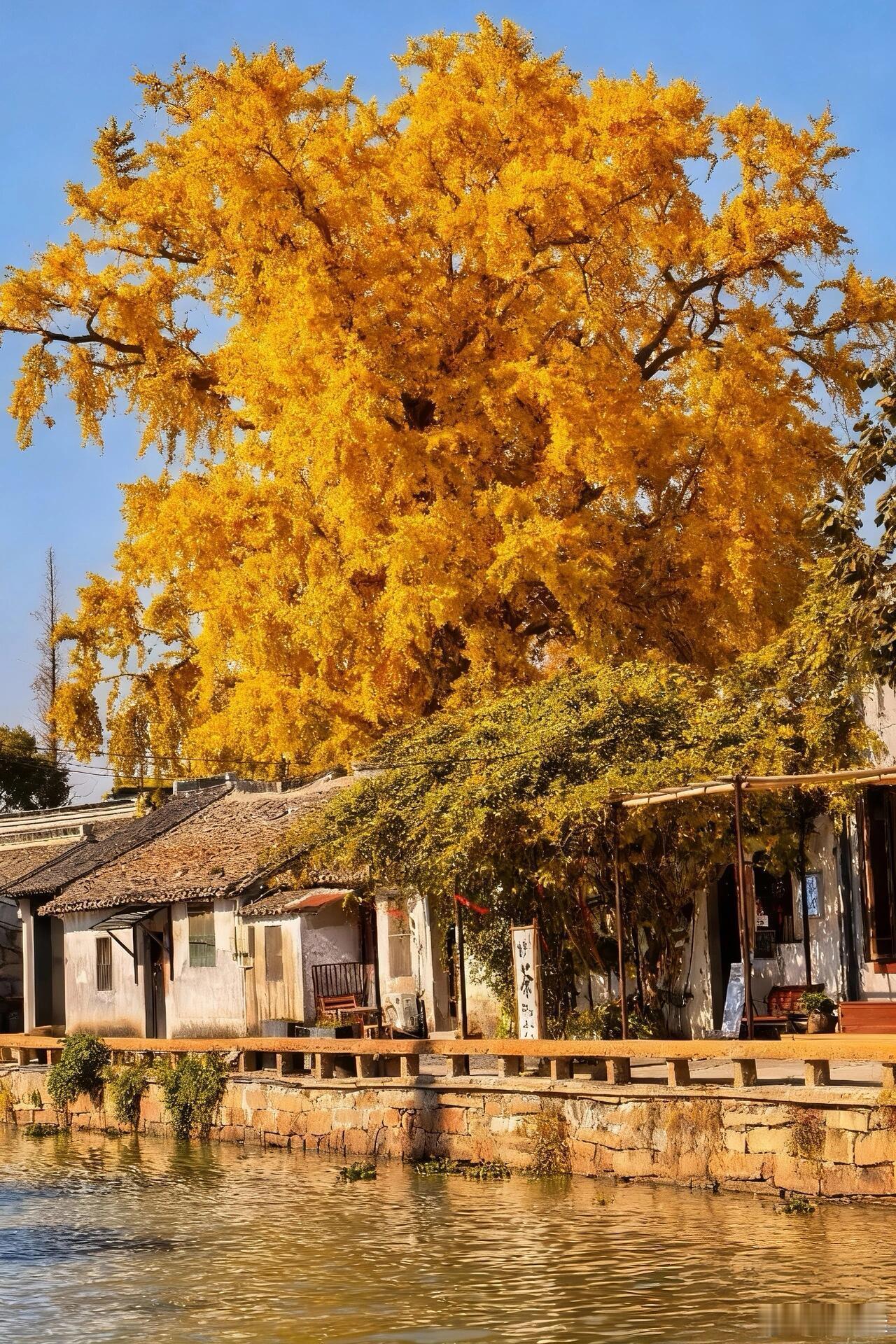 真心建议大家，尤其是女生，做个有所保留的人。蕞近读到一段话，狠狠被戳到了： “生