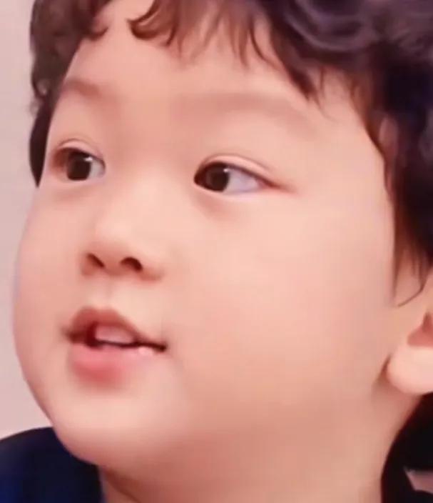 孩子的呐喊：家不是战场，是避风港
 
这段对话像一把锋利的刀，剖开了家庭争吵中最