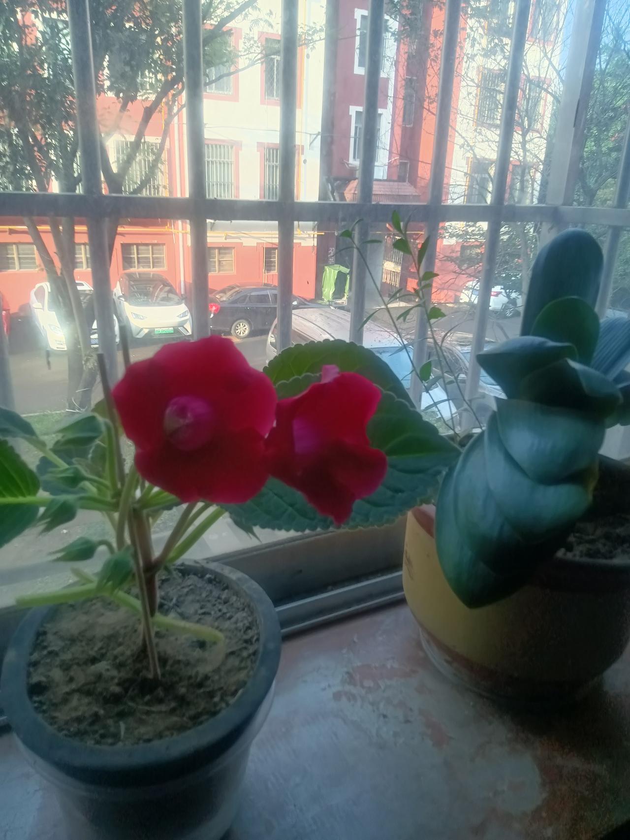 厚德载物
藏头诗
文/李兴伟
厚德自古美名扬，
德厚望隆声誉彰。
载载皆留贤士影