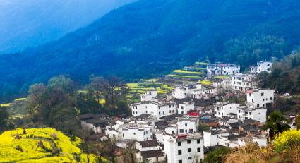一、2026年到底多少分能上？我给你捋明白
先说最重要的：分数。
2026年的录