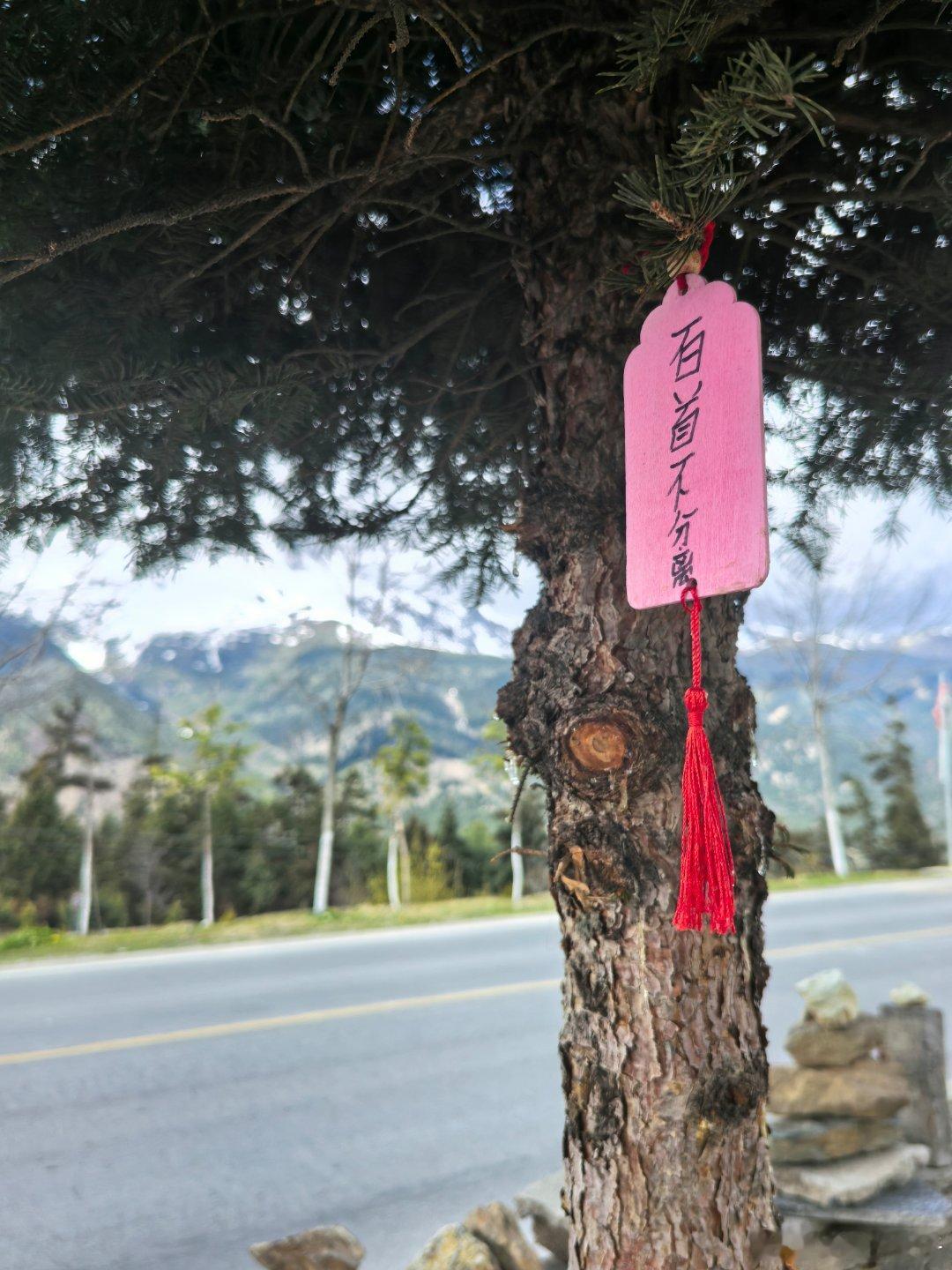 今日小幽默 迪庆·白马雪山自然保护区