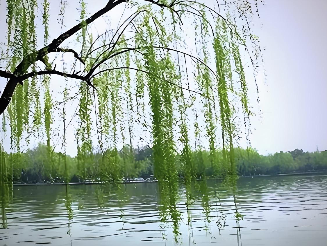 下联：丝丝细雨润红花；诚邀上联缕缕柔风温碧柳；