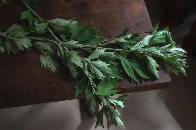 几年前，我在拼多多上买了泡脚包，发货地是南阳。这泡脚包艾草味儿特别重，价格还实惠