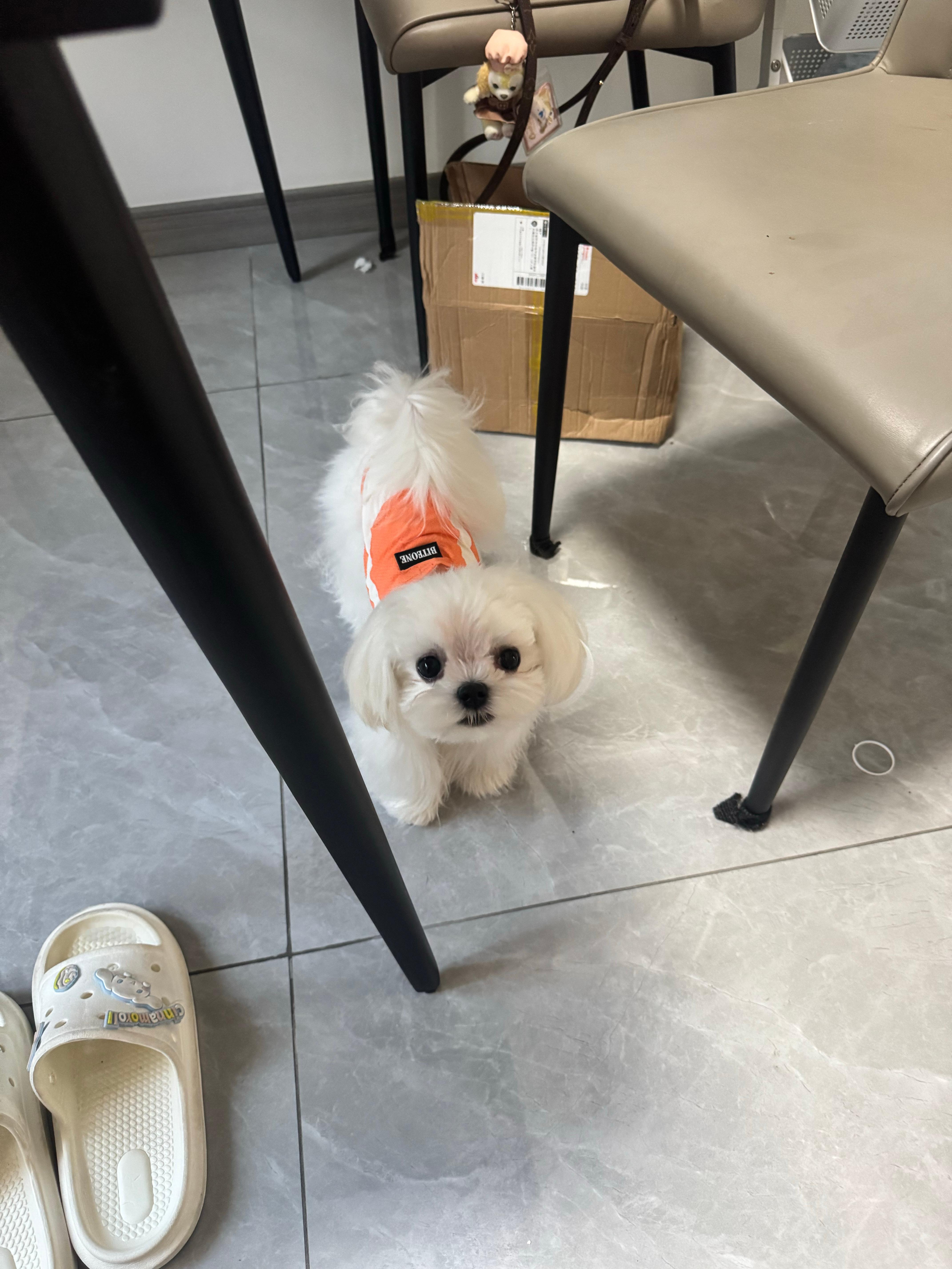 臭小木！ ​​​