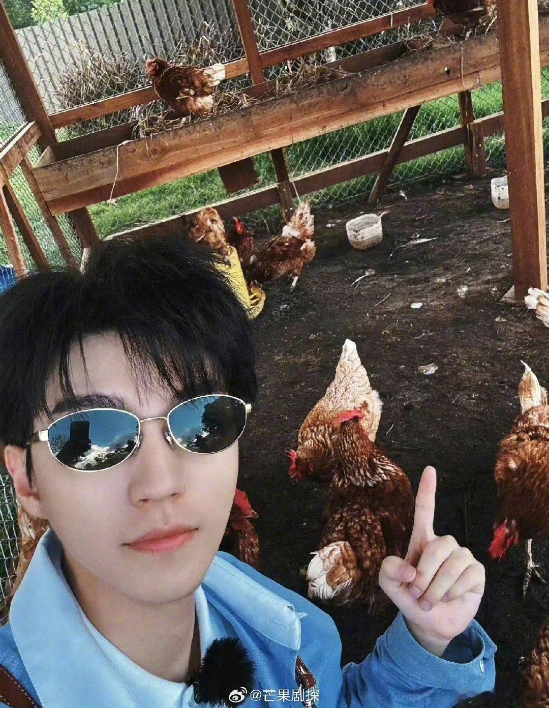 王俊凯被小鸡啄手机王俊凯和小鸡说话 中餐厅开业倒计时24小时 王俊凯和小鸡说话也