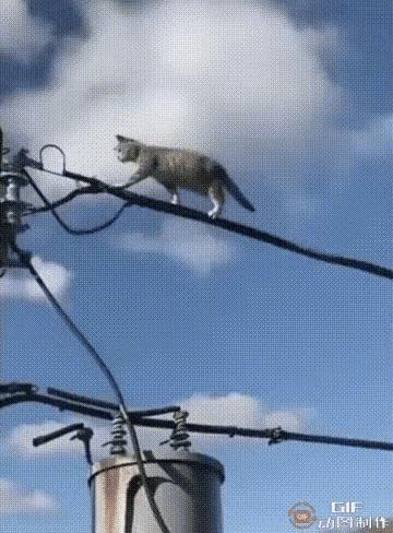 比电的速度更快～