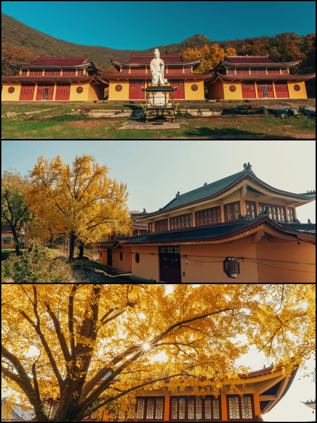 南京 | 浦口隆兴寺，藏着百年银杏却人迹罕至