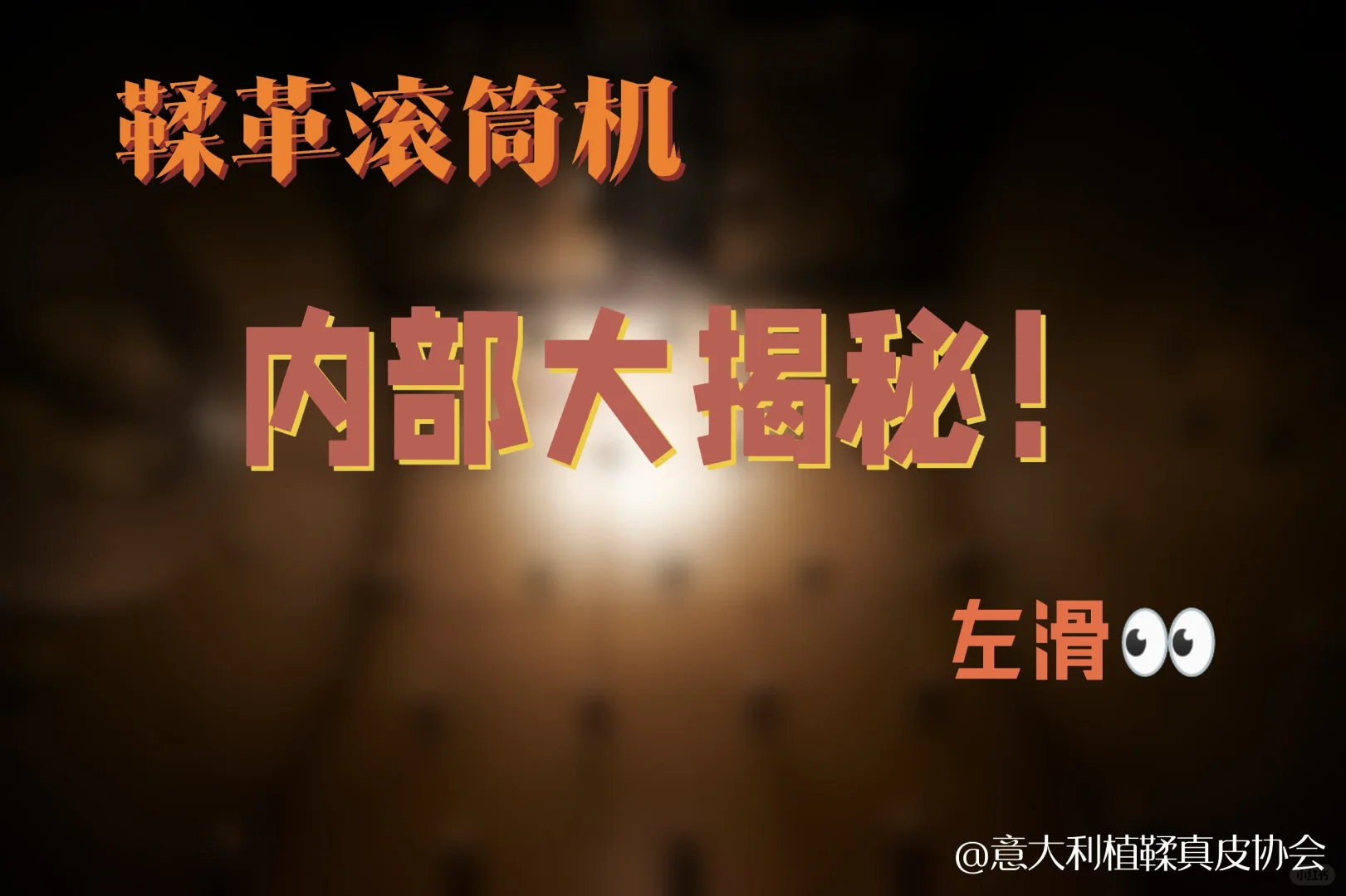 大揭秘！鞣革滚筒机的内部😎