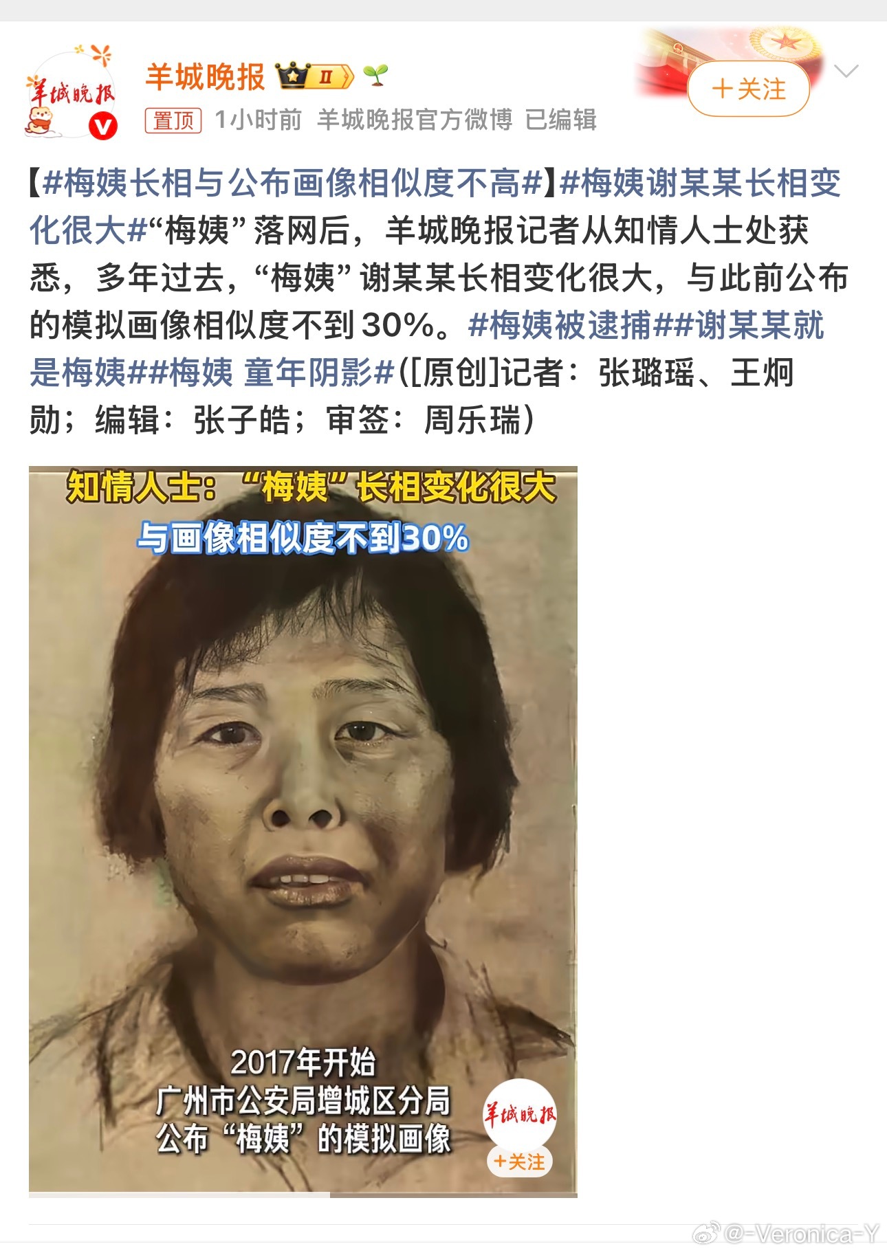 这个恶婆肯定做整容手术了梅姨与画像相似度不到30%