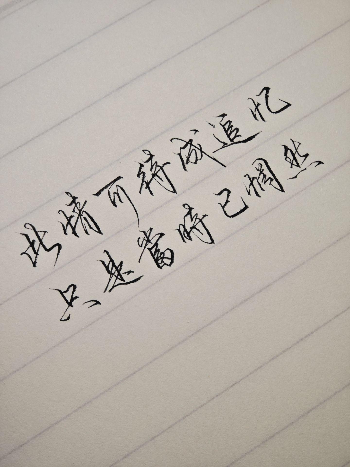 家境撑不起理想，能力配不上野心，于是我拿起破旧的行囊，不论南辕北辙我只...