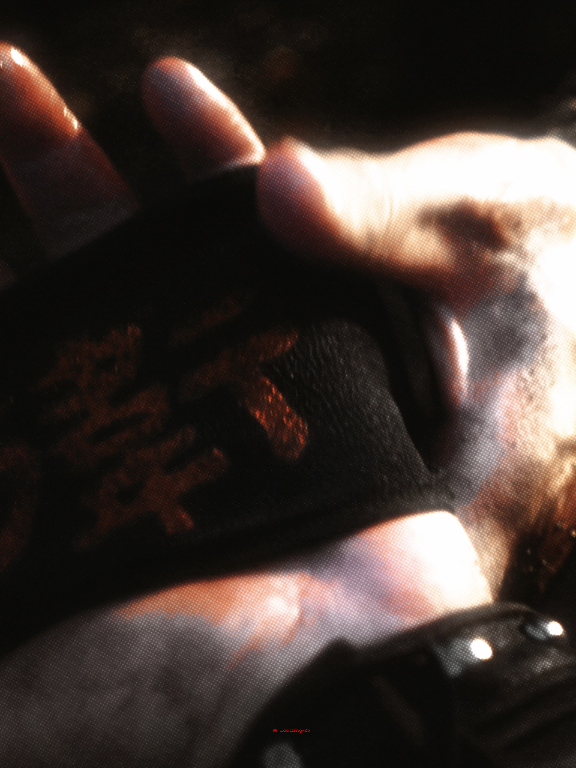 生时不相守，死时不相见。山河枕﻿ 卫韫