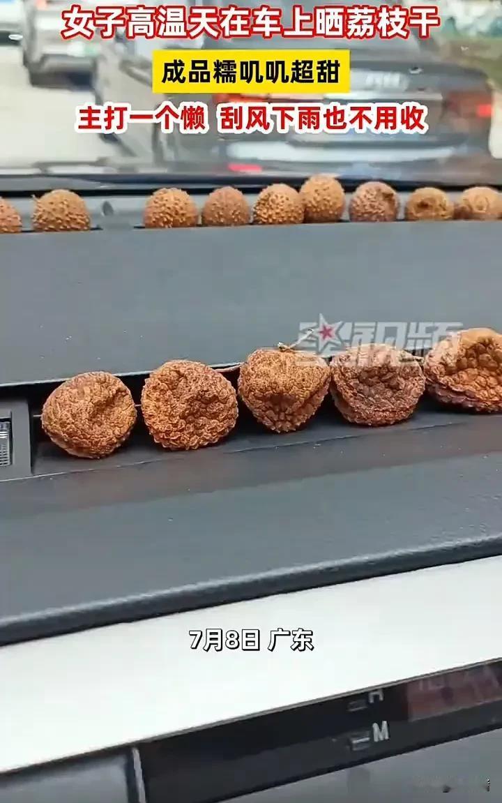 太聪明了！7月8日，广东一名女子发视频称，由于天气阴晴不定，于是自己便把荔枝放在
