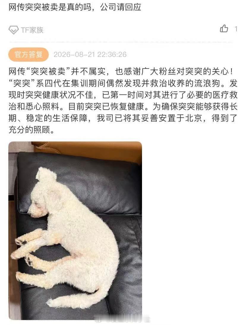 时代峰峻回复：“网传突突被卖并不属实”。 