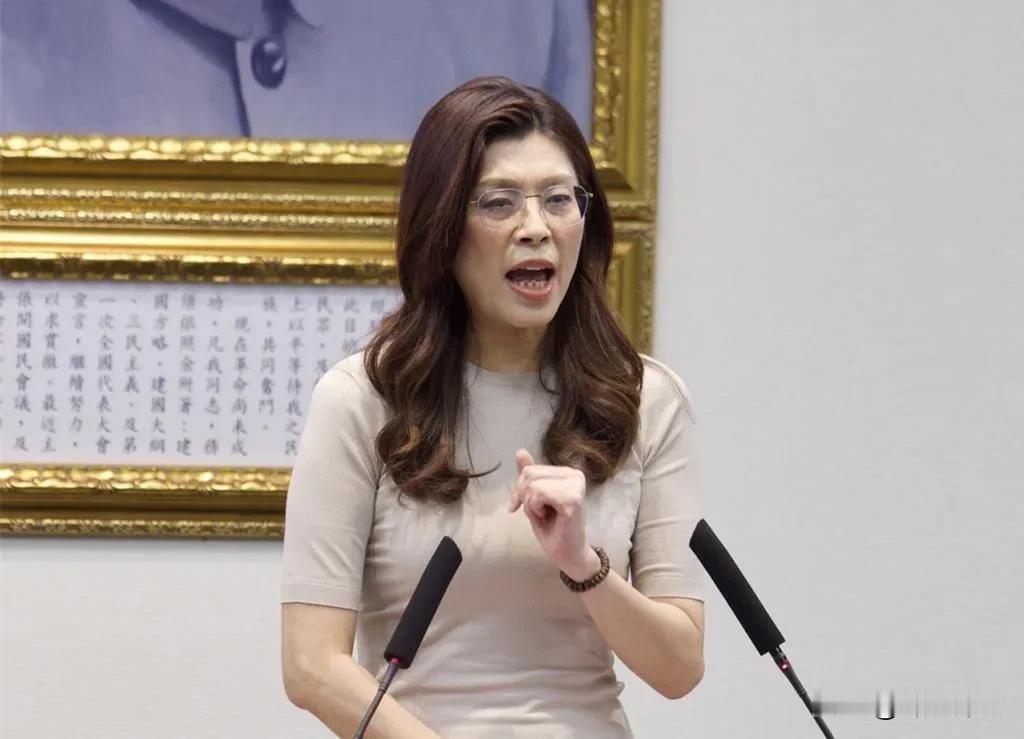 5月27日，针对赵少康邀请金溥聪上节目谈马英九基金会案件，赵质疑萧旭岑与台商韩萤