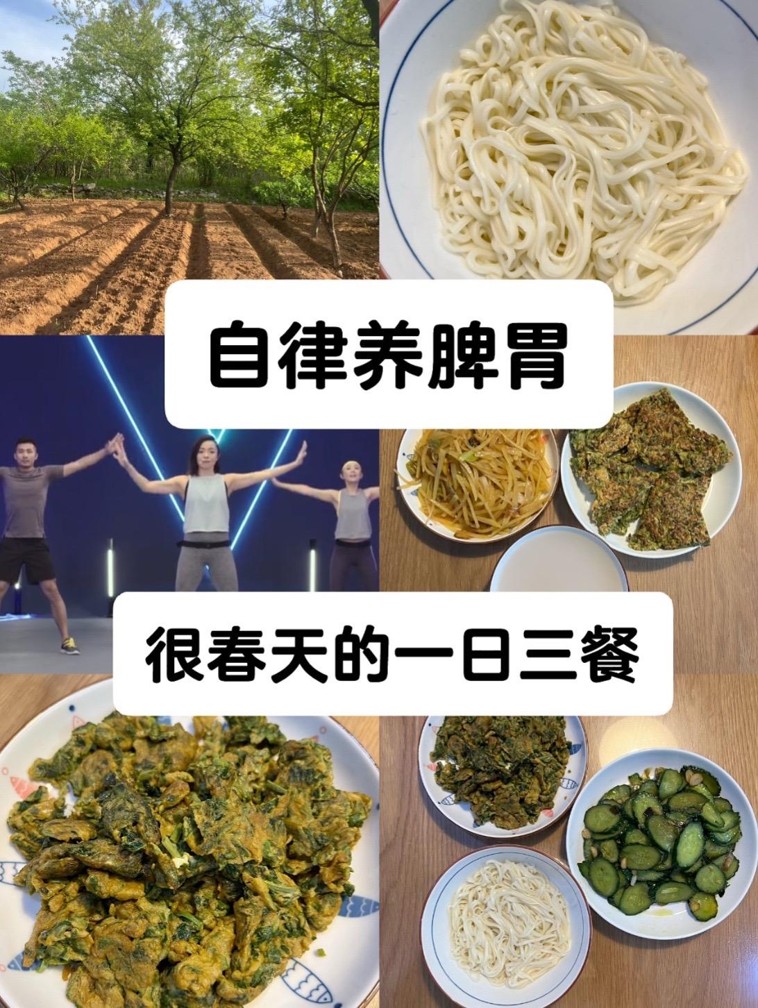 春天的一日三餐｜养脾胃记录。春季的新鲜蔬菜真是太多了～～
从荠菜，到香椿，到薄荷，到洋槐花，紫藤花等，真是应接不暇，数不胜数。 
每种味道都很独特，每种菜出现的时间也很短暂，真的让人不得不感慨大自然的神奇。 
层出不穷的新鲜食材，不仅让人赏心悦目，也让人味蕾大开。 
春天的阳光也很美，明媚而透亮，有种很青春的感觉。温度也是不冷不热，真是个好季节～～ 
多晒太阳，好好吃饭哦～～
抽时间做些运动，如果有可能，下班后去换个环境走一走，那就再好不过了～～ 
美好的生活要抓在自己的手里啊～～