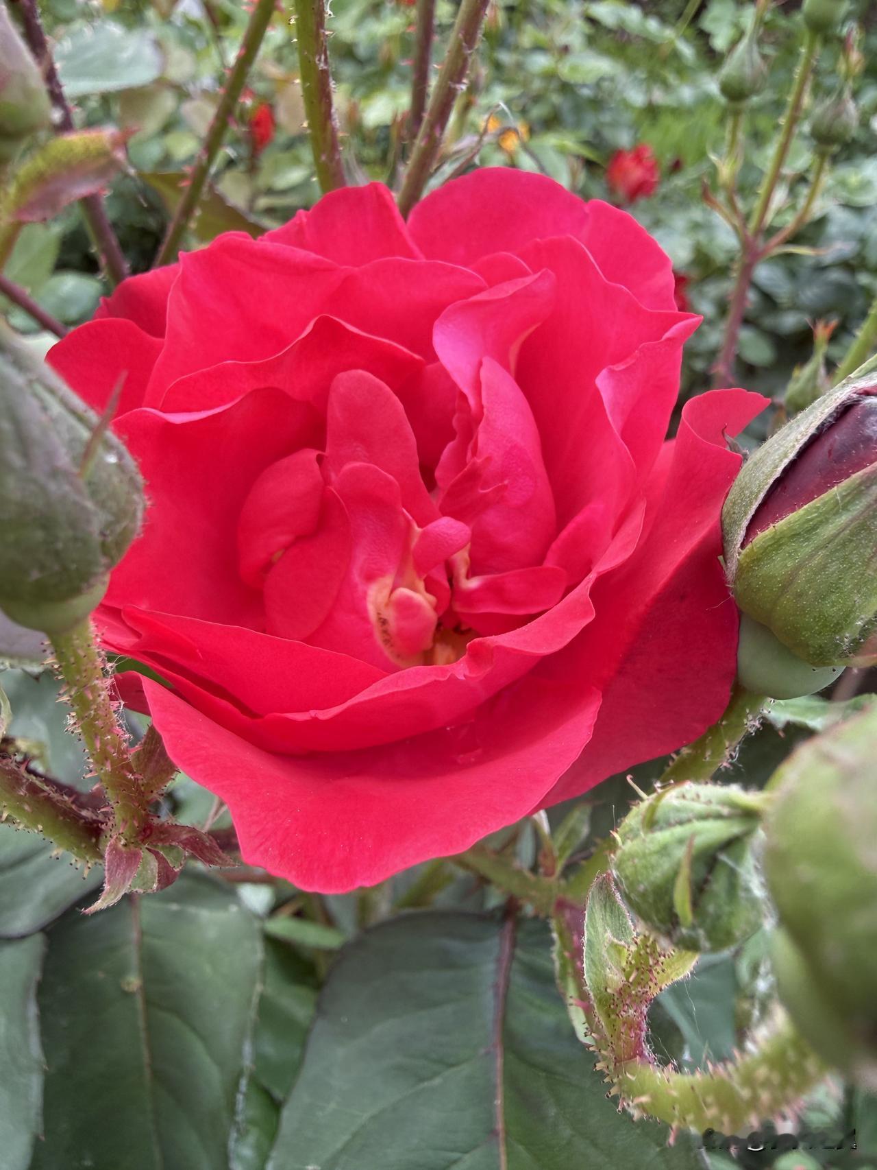 【小对联】
上：引语；
下：……？