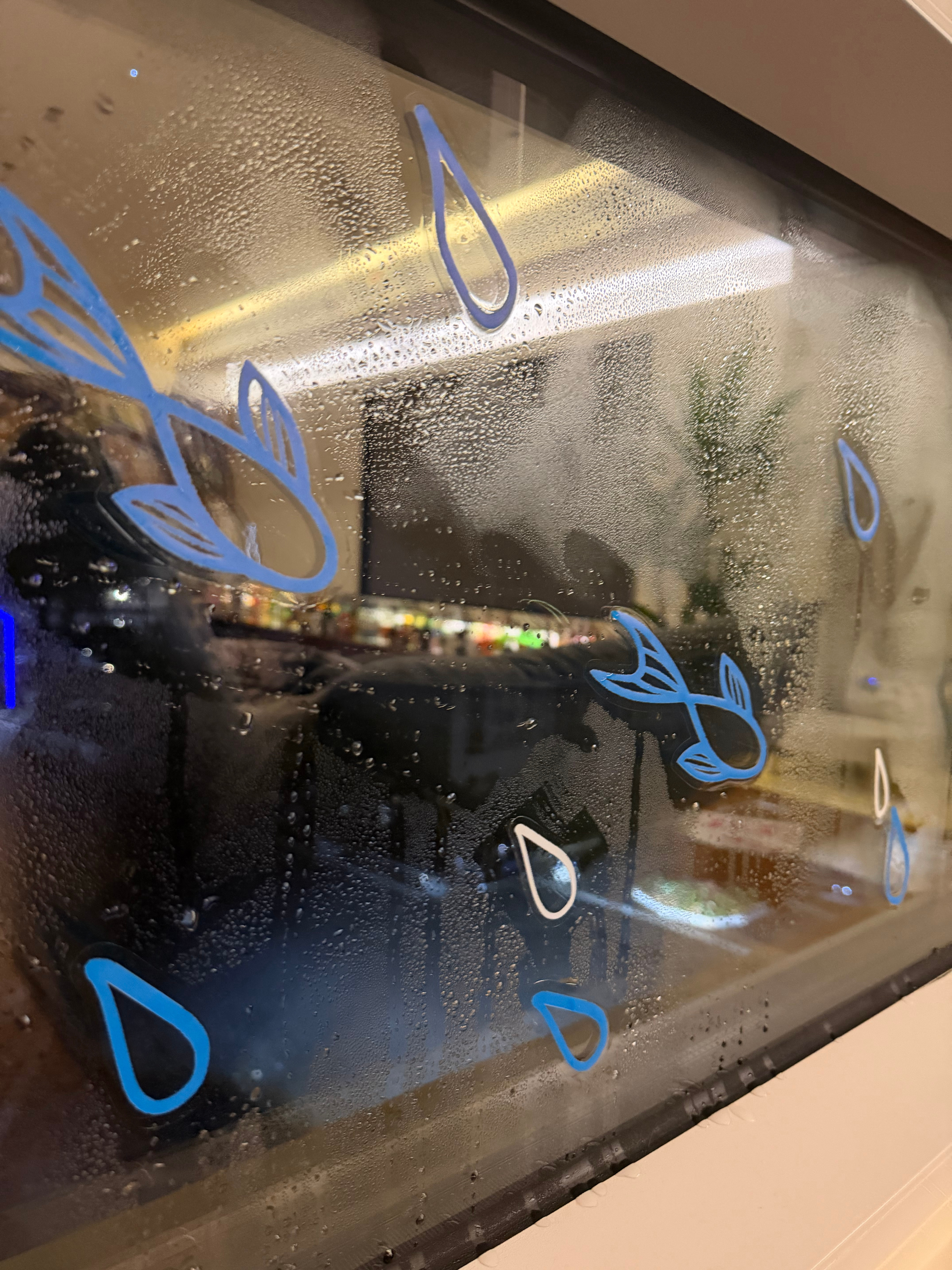 期待下雨天 