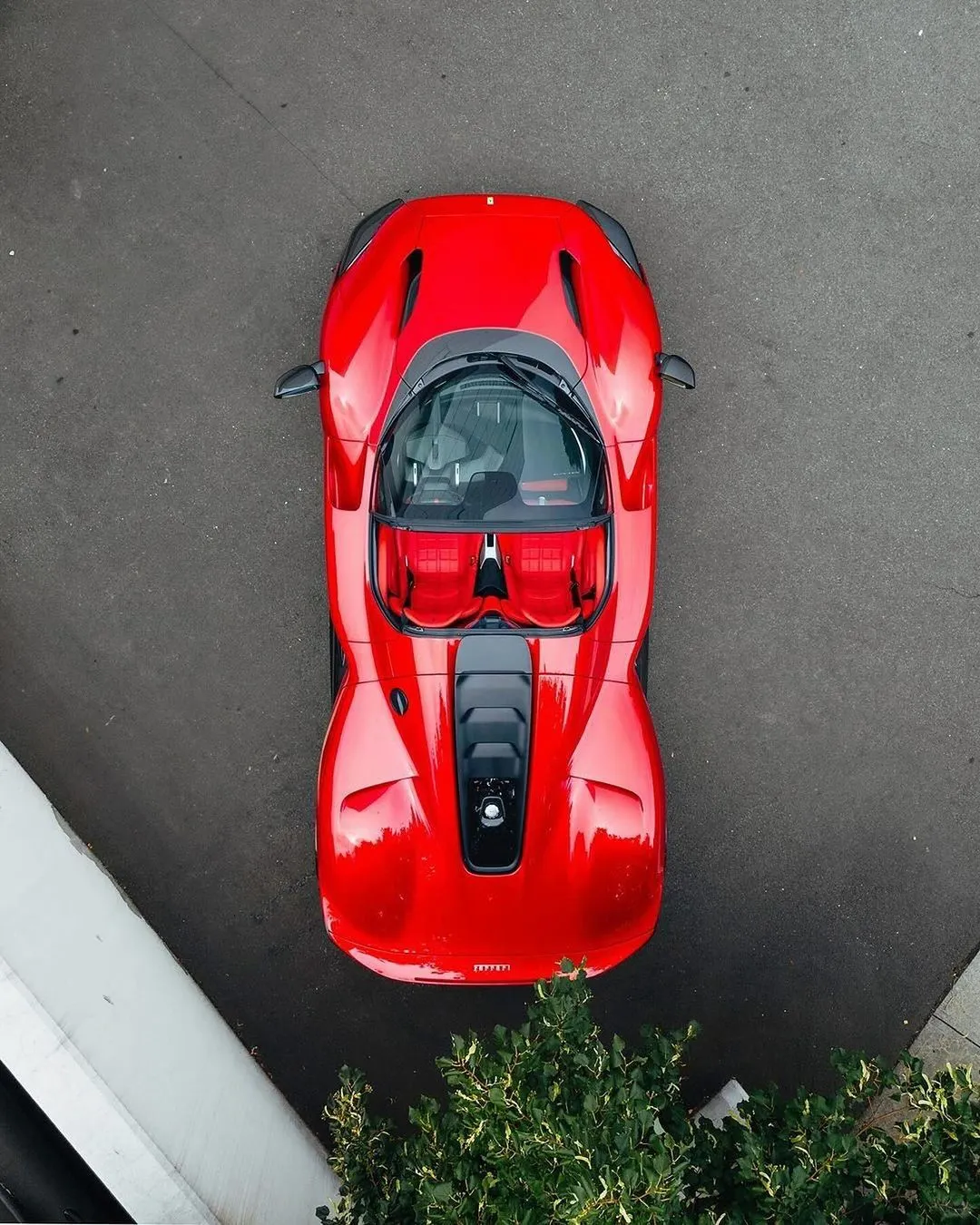 Daytona SP3