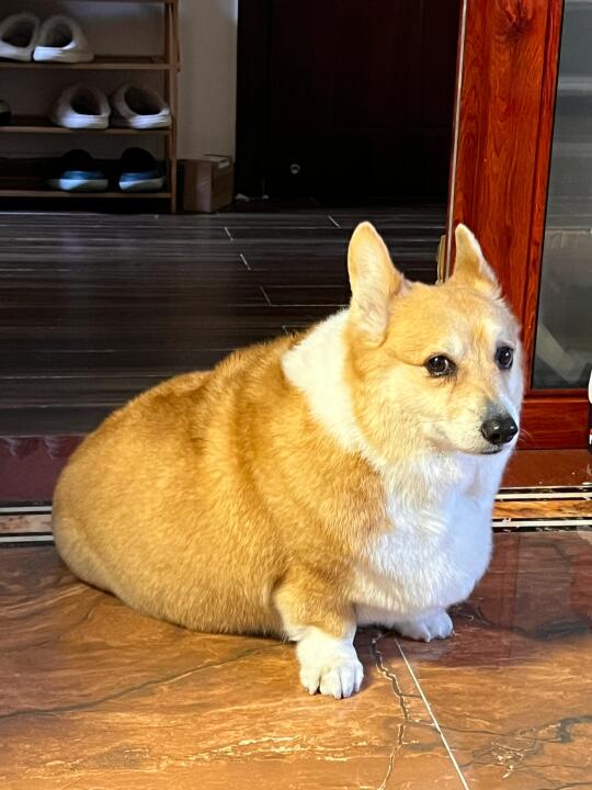 我真的没有50斤！！！