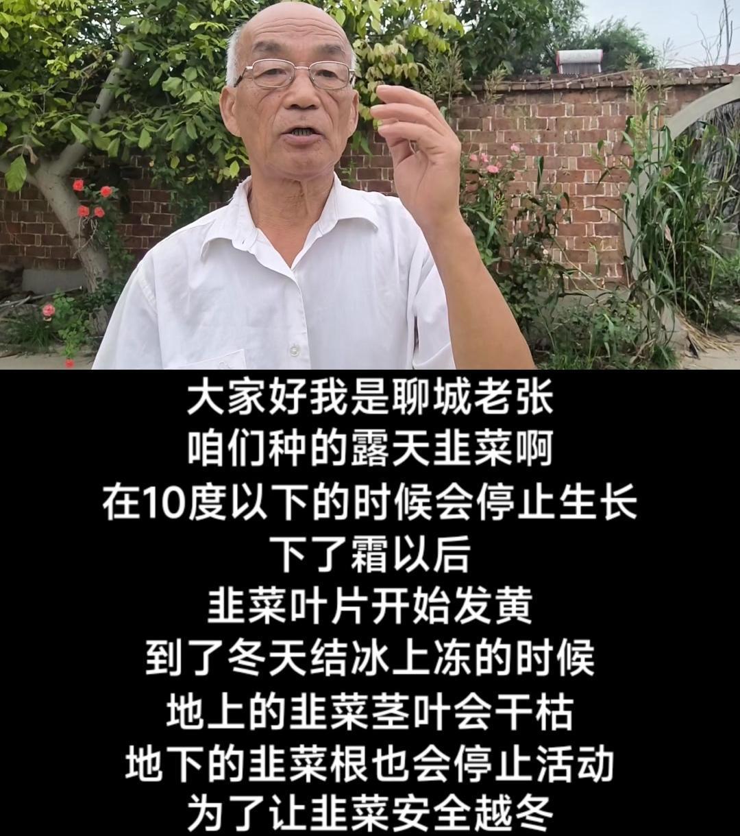 🌿韭菜收割时间：
1️⃣露天韭菜在10度以下时会停止生长，下了霜后，韭菜叶片发