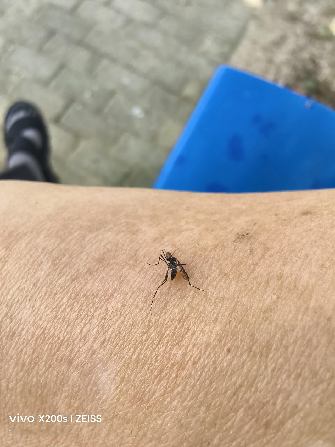 如何看待杨梅市场的乱象黑心人受利益的驱驶，为了追求利益的最大化，将损失和风险降到