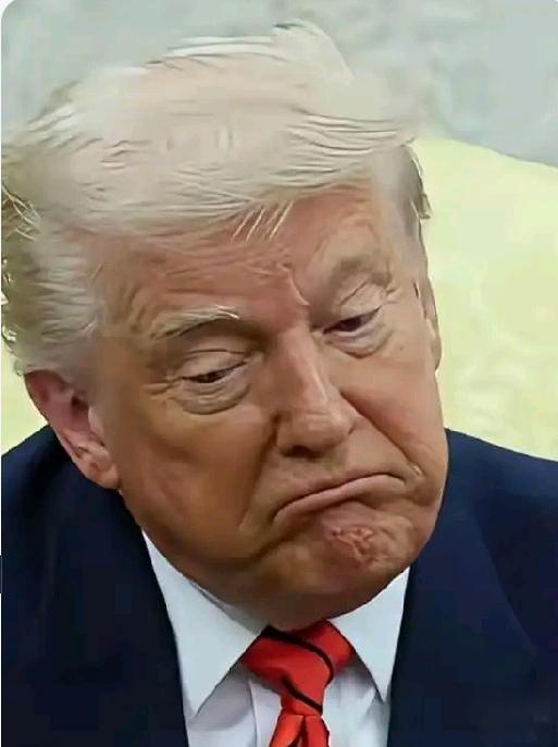 【特朗普的压力都来自哪些方面】
        特朗普面临的压力可不少。政治上，