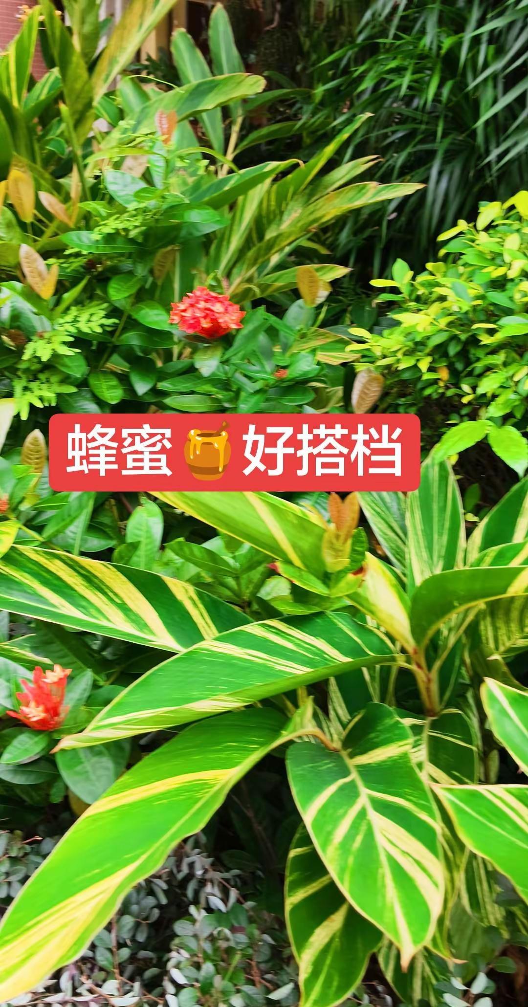 伦敦世乒赛女团决赛跌宕起伏，中国队一度1-2陷入被动。孙颖莎两度登场拿分，将比赛