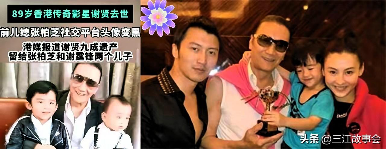 前两个孩子分了九成遗产！
三胎一分没有。
谢振轩谢振南是婚内生的姓谢，三胎姓张，