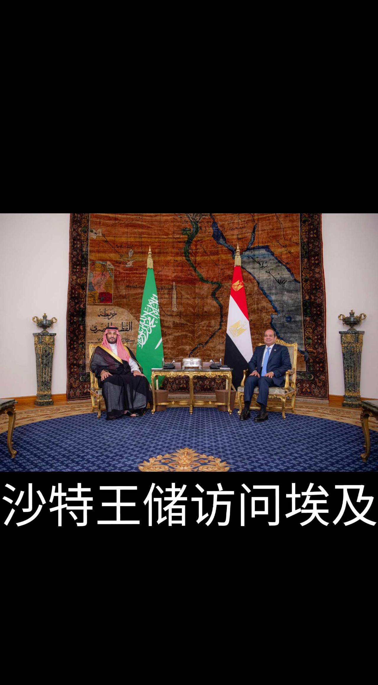 🌸小King访问埃及公务组图。高清版来了～
🌸王储和埃及总统举行了双边会晤和