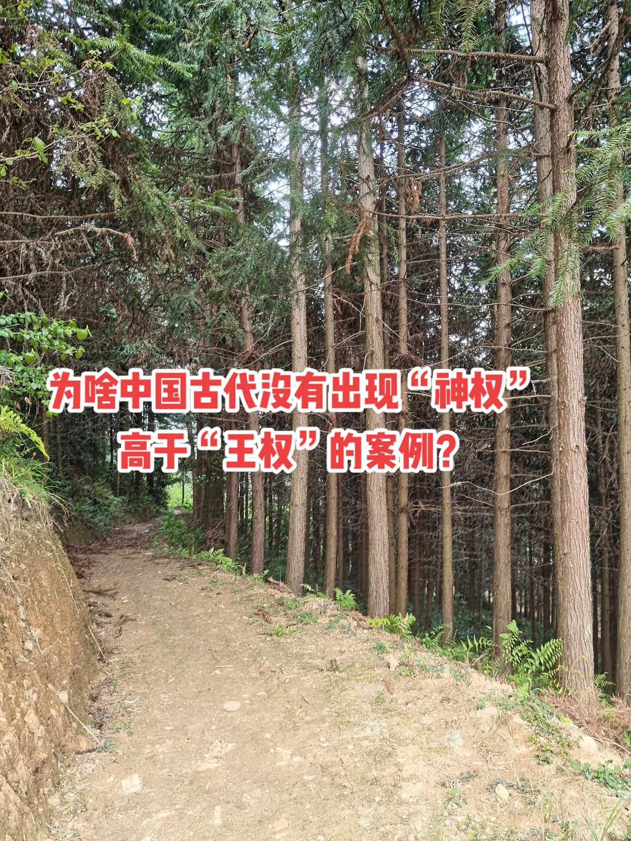 为啥中国古代没有出现神权高于王权的案例？古代 神权 王权 讨论