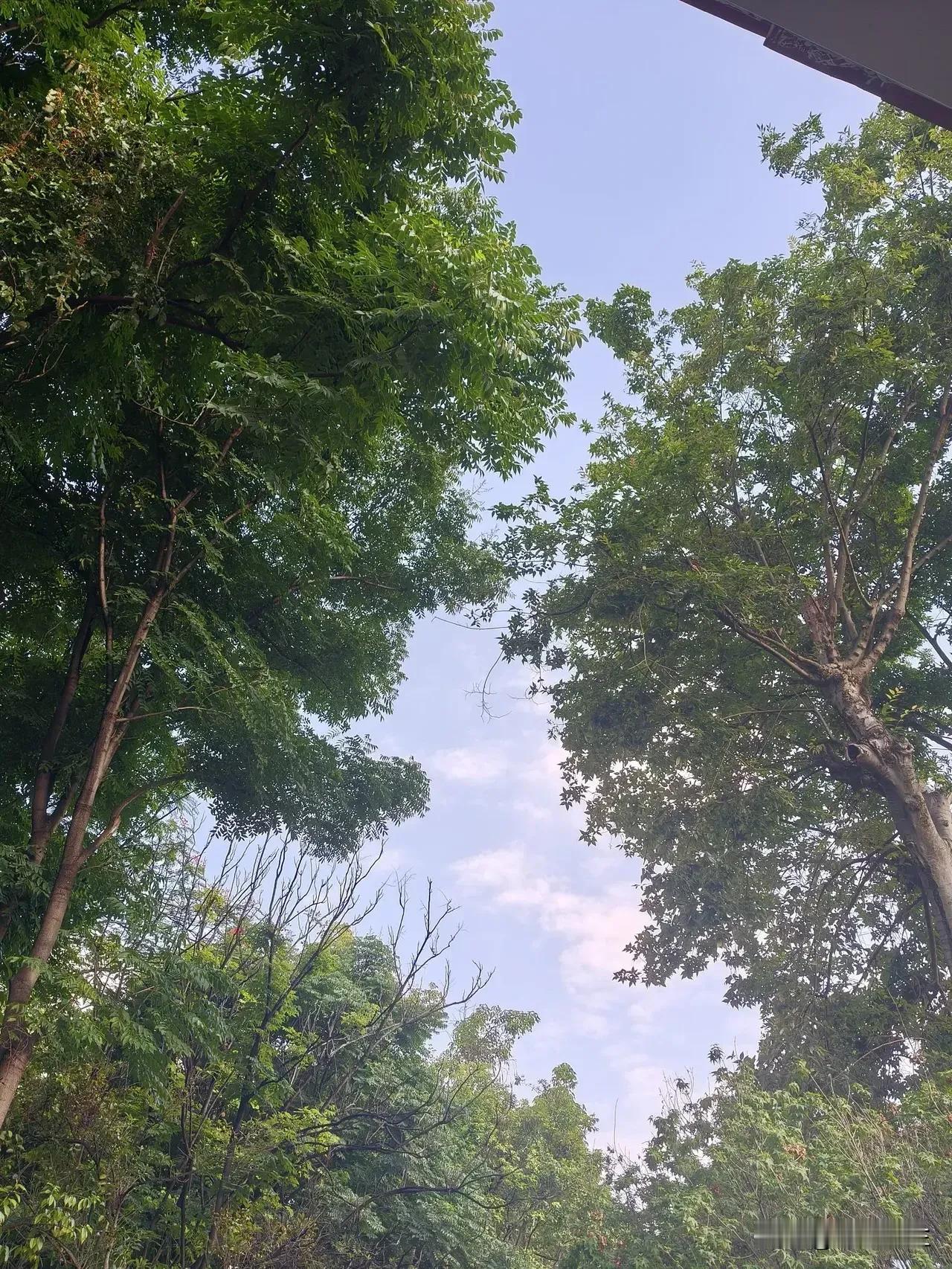 1️⃣ **“粉丝少？我偏要宠你！”**  
今天又回关了几十个创作者，专挑粉丝