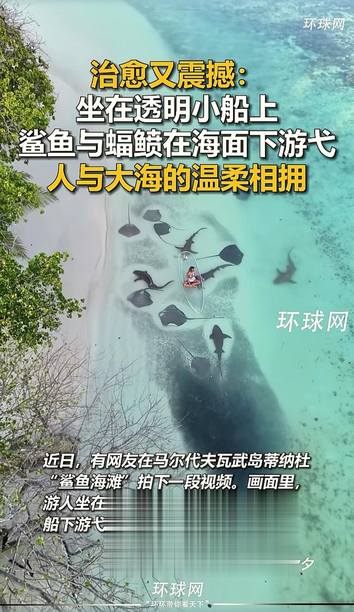 消息来源于网络