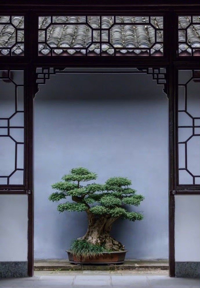 聪明外露者德薄，词华太盛者福浅。——曾国藩