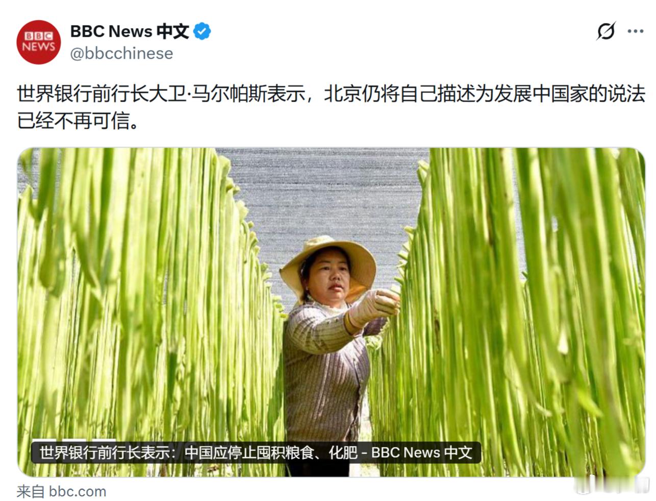 BBC：世界银行前行长大卫·马尔帕斯表示，北京仍将自己描述为发展中国家的说法已经