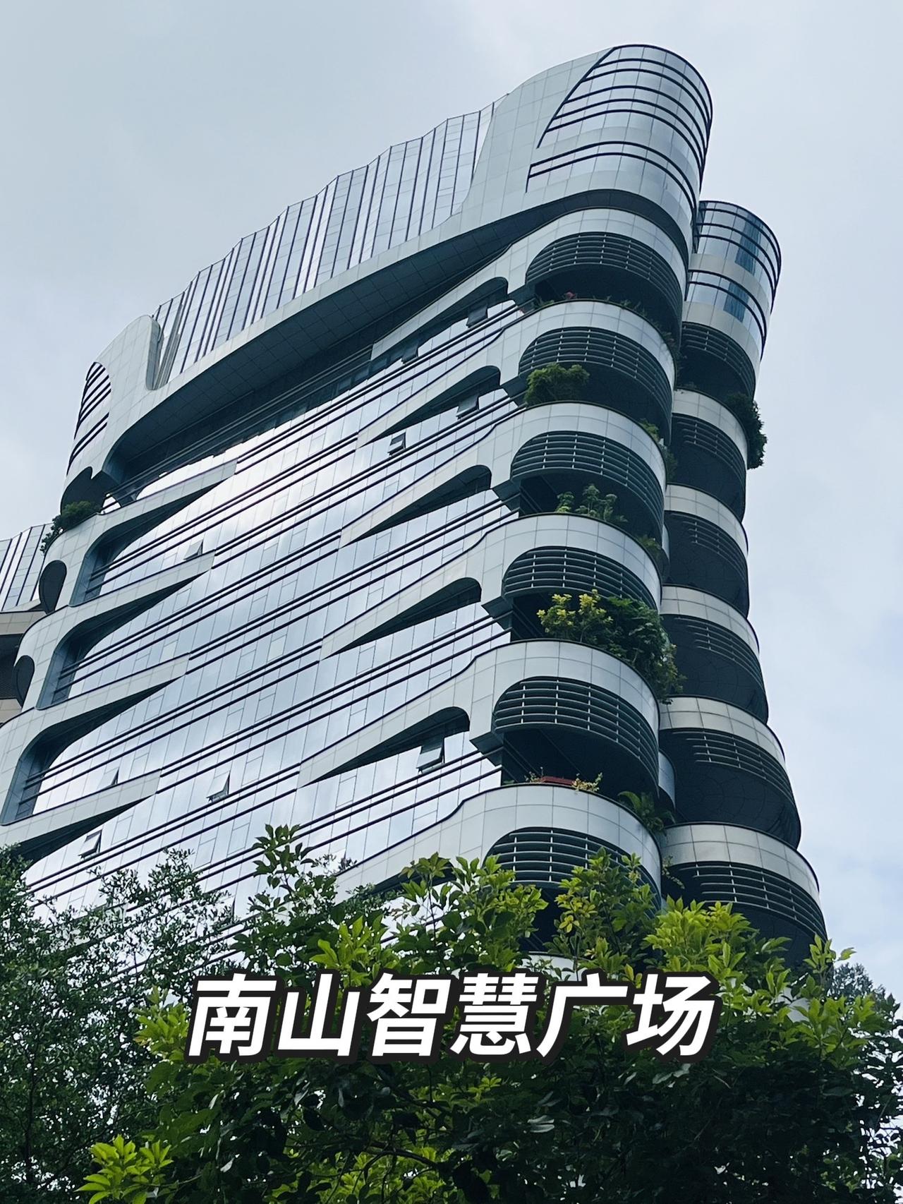 很特别的建筑，很有质感！第一次来南山智慧广场
没想到建筑外立面这么特别
大大的弧