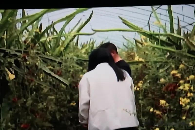 《乡村爱情18》赵四葬礼 《乡村爱情18》里赵四葬礼这情节太绝，直接把热搜炸穿。