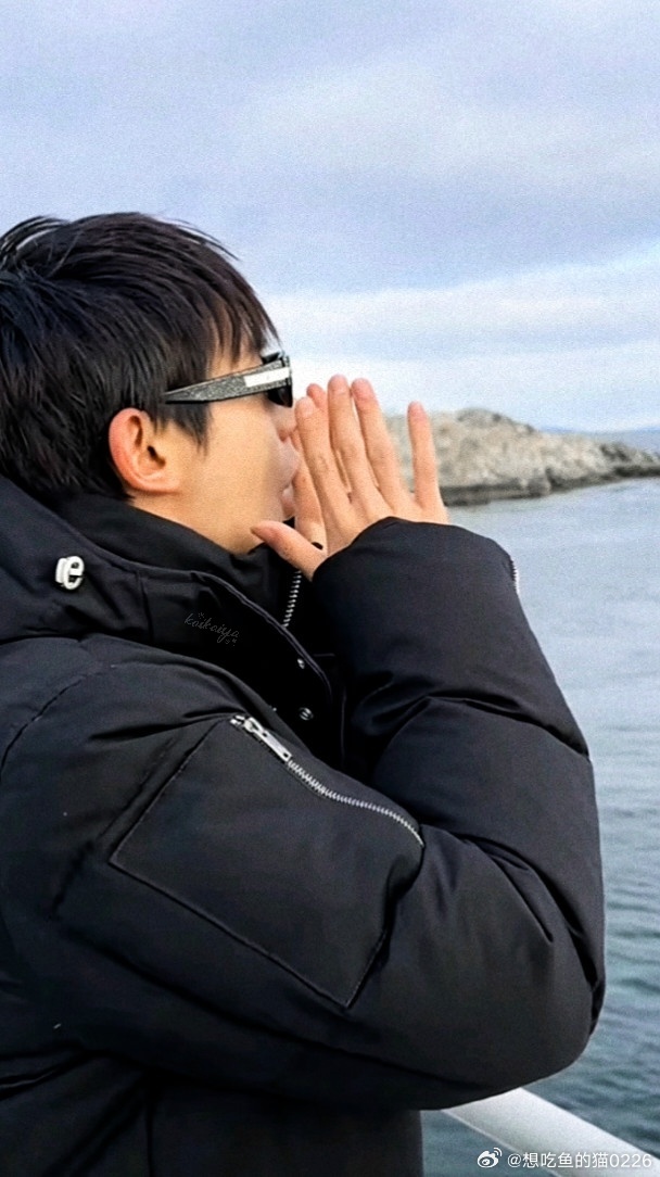 邓为 / 邓为花儿与少年8🪐✨番茄在藤蔓上渐渐变红，像挂起的小灯笼照亮菜园角落