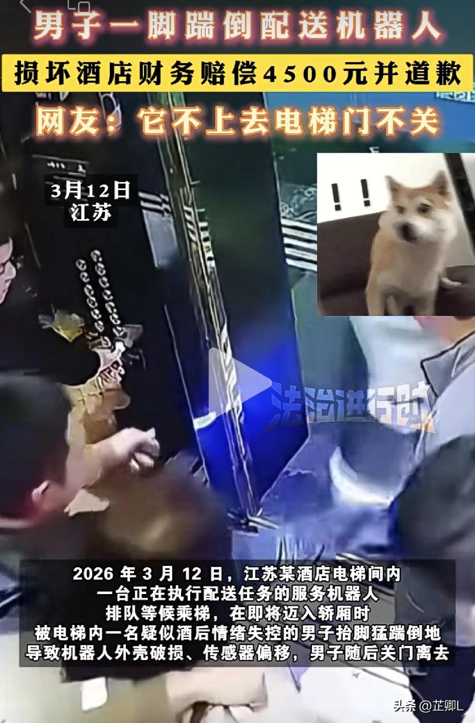 太离谱！江苏男子无故踹翻酒店送餐机器人，赔4500元道歉，网友：罚轻了！
 
3