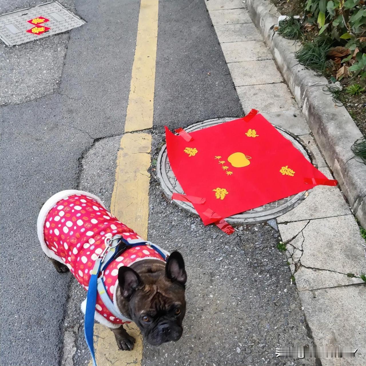 小区清晨办喜事，阴沟盖上粘贴喜字，原来背后藏着如此暖心的讲究！

清晨8点，出门